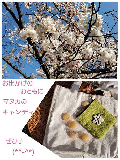 お出かけのおともに