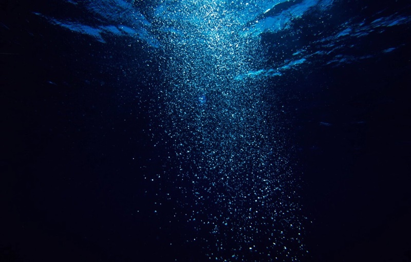 酢酸セルロースは深海でも分解するのか？