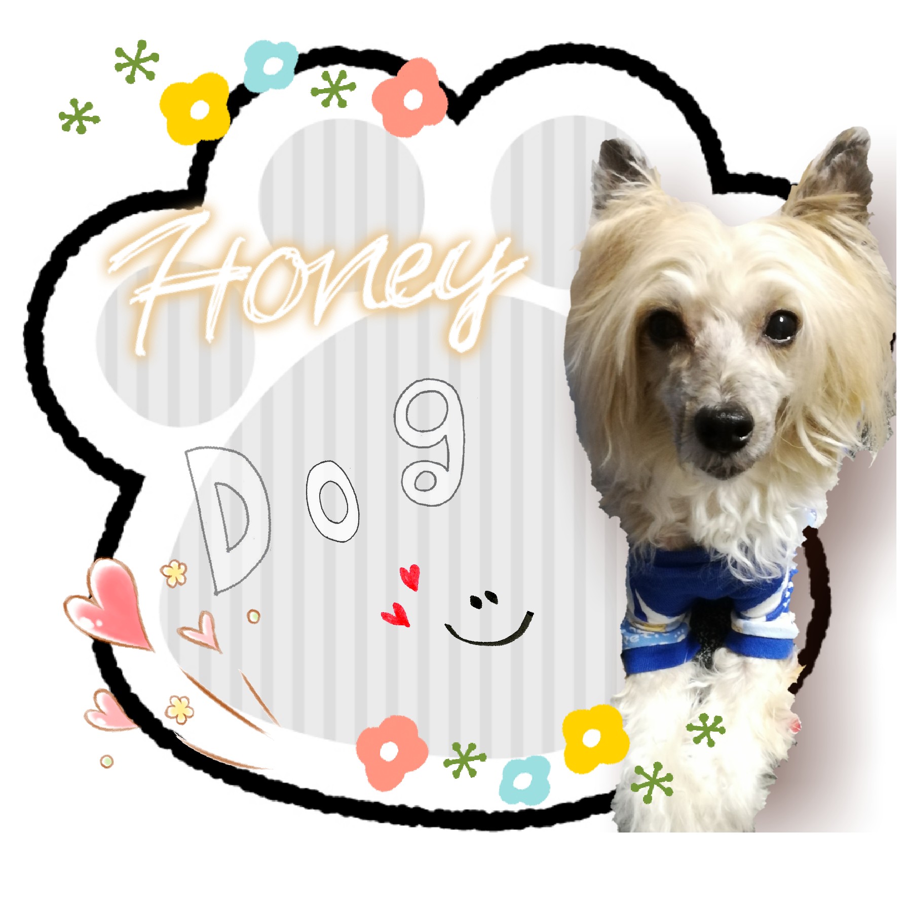 手作り犬服のお店Honey Dogです。