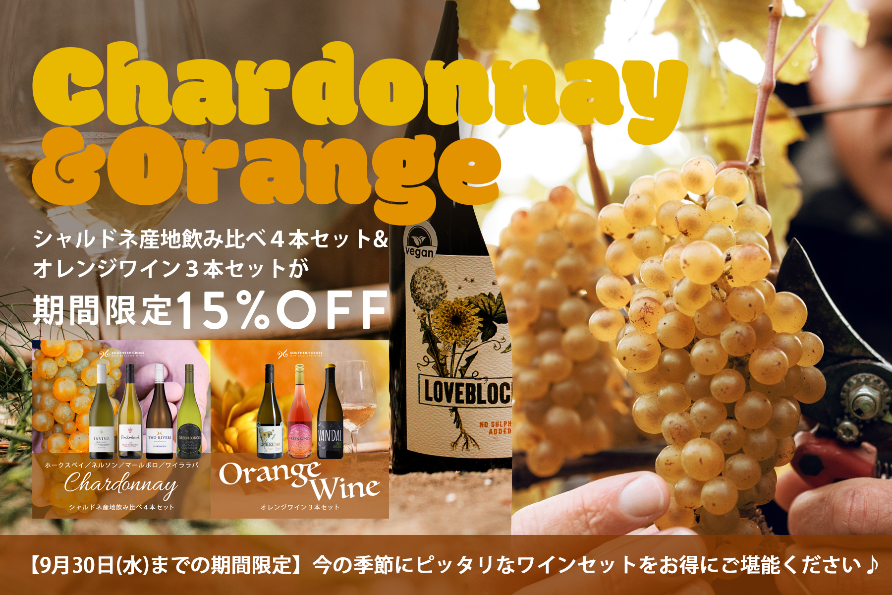 期間限定15%OFF!シャルドネとオレンジがお得です!