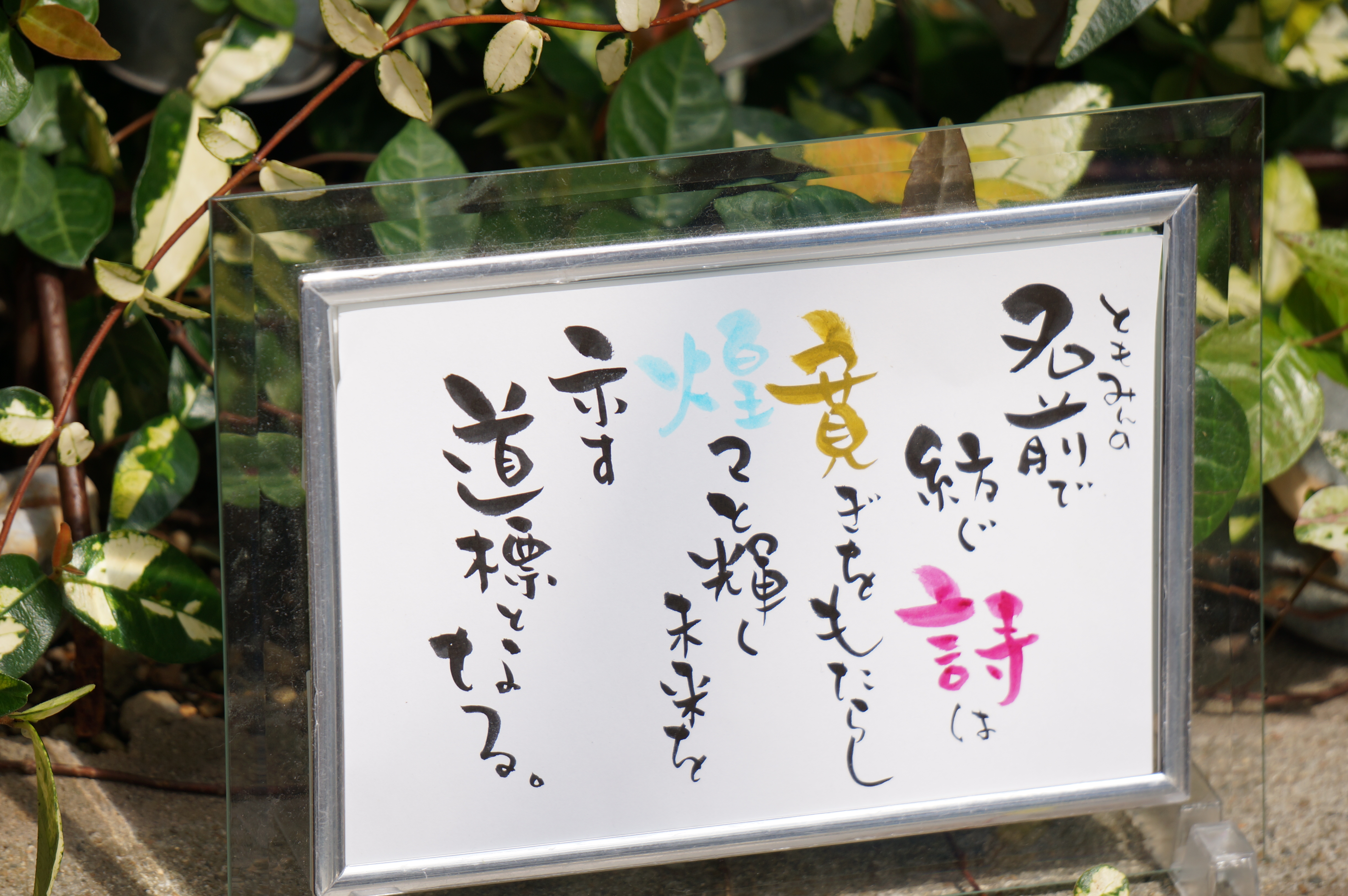 リニューアルオープンしました☆彡