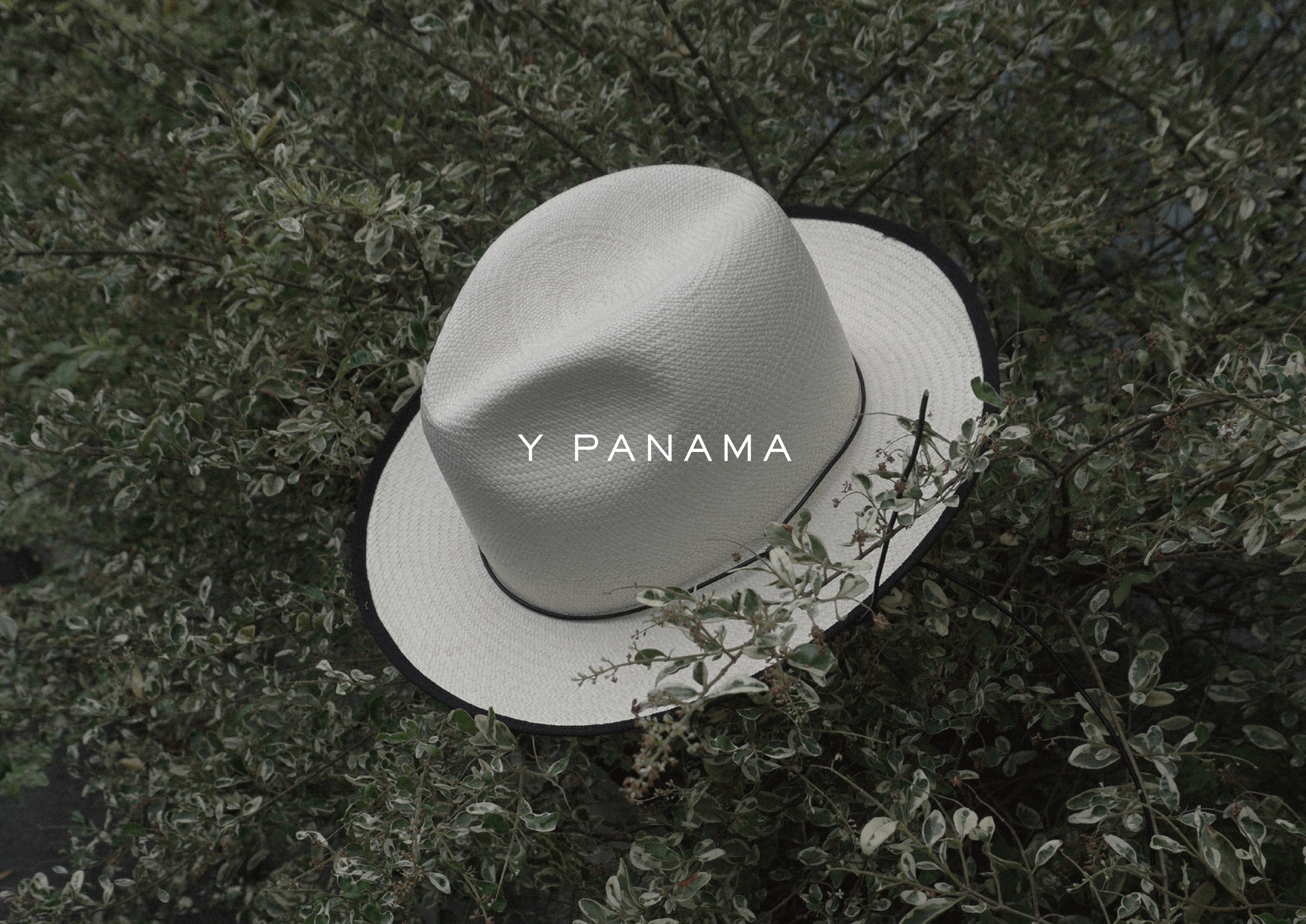 25HS WEEK03 [Y PANAMA HAT]