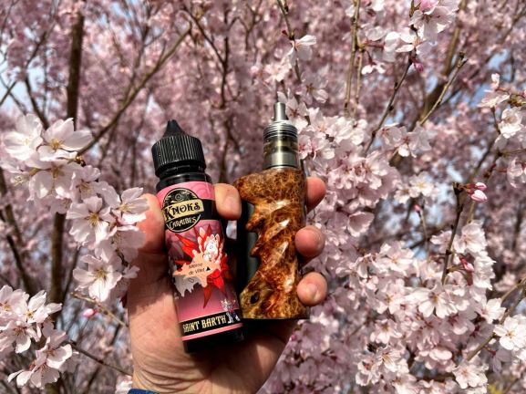 今が見頃🌸