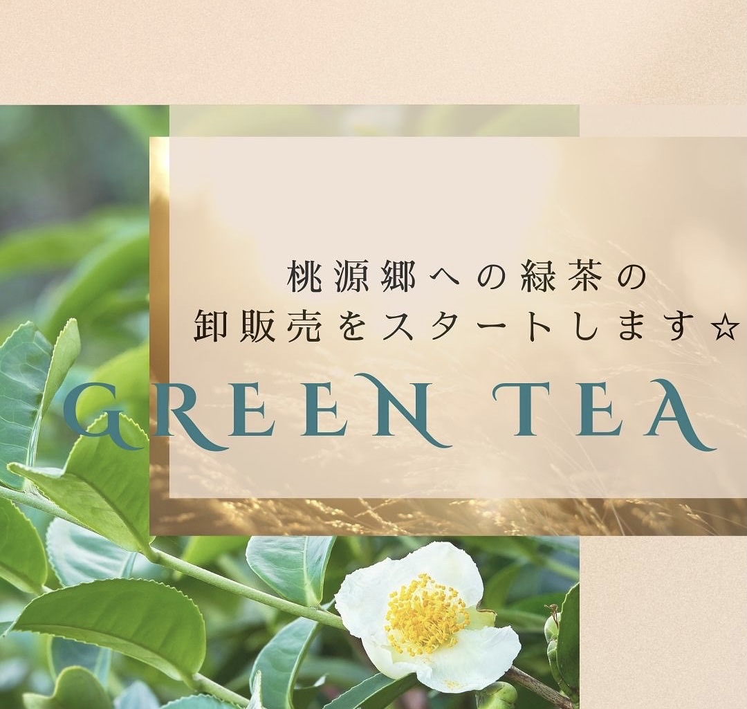 《桃源郷への緑茶・卸販売のお知らせ》