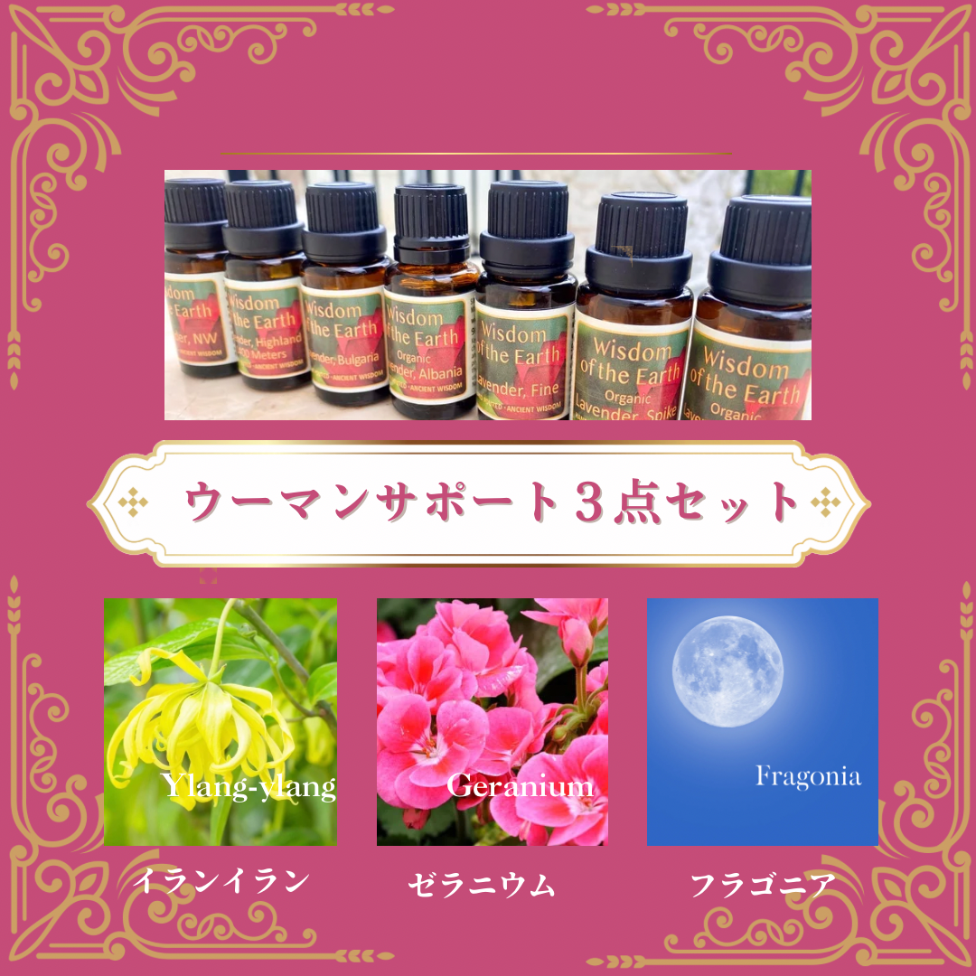 突然にウーマンサポートセットを出したくなりました♪