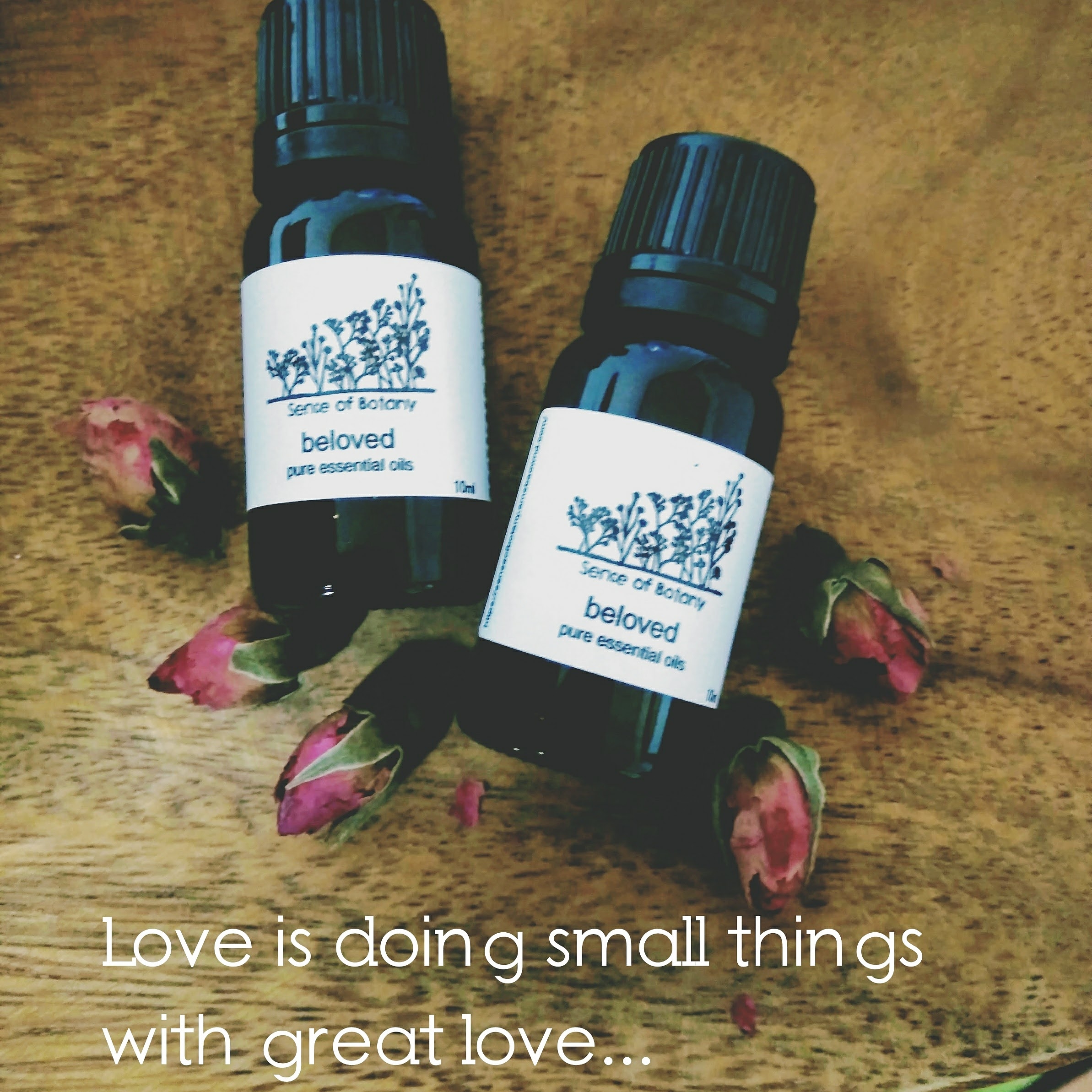 アロマの休日♬