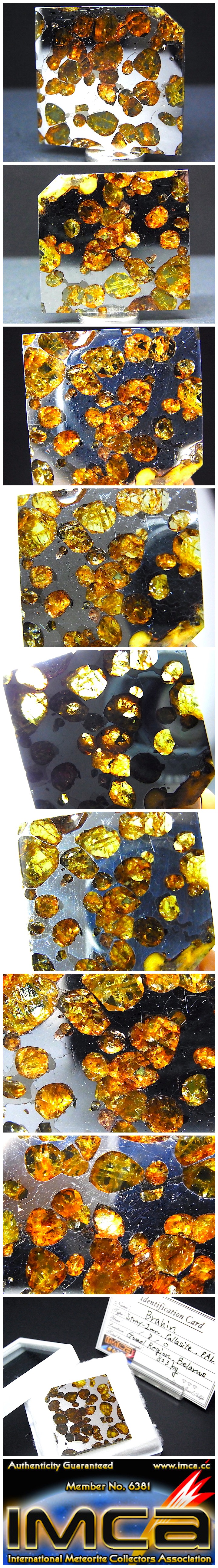 【 販売済 隕石 】ブラヒン隕石 パラサイト隕石 極美品 隕石由来のペリドット Brahin