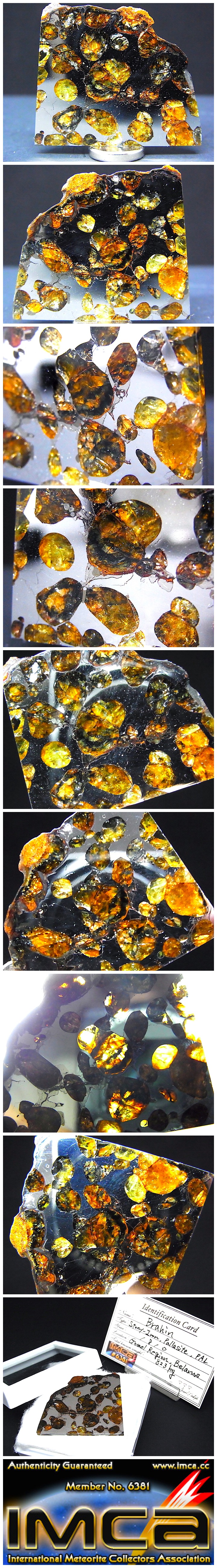 【 販売済 隕石 】ブラヒン隕石 9.5g パラサイト隕石★ベラルーシ 石鉄隕石
