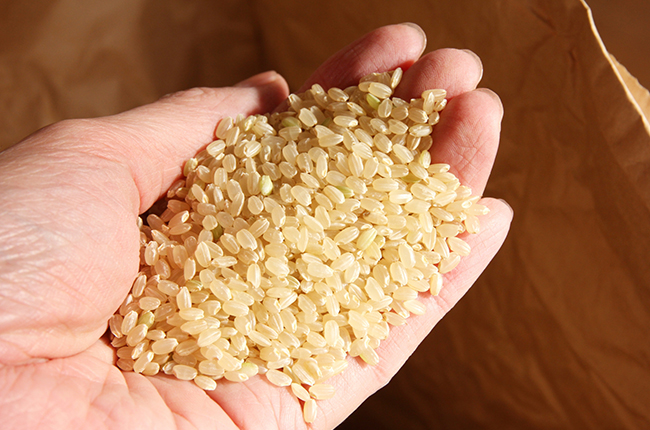 【よくあるご質問】やっぱり玄米は無農薬のほうがいいの？