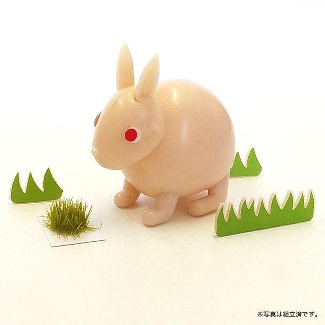 こうさぎさん。