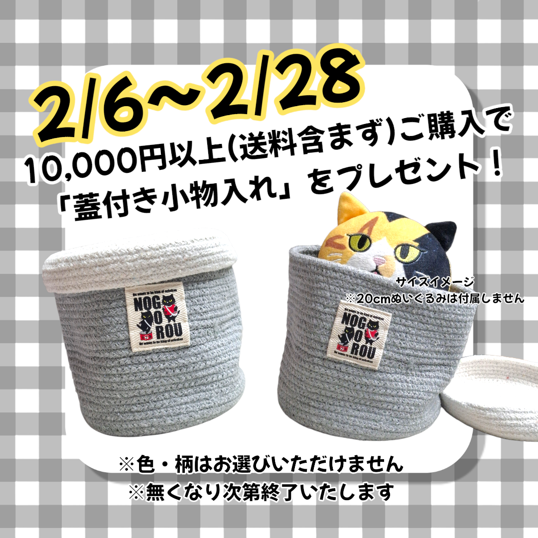 【予告】2/6～2/28〆 ￥10,000(税込)以上ご購入で「蓋付き小物入れ」プレゼント🐾
