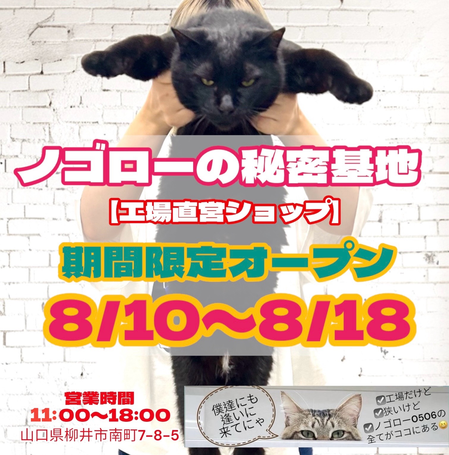 8/10～8/18まで「ノゴローの秘密基地」が期間限定OPEN中❗😺