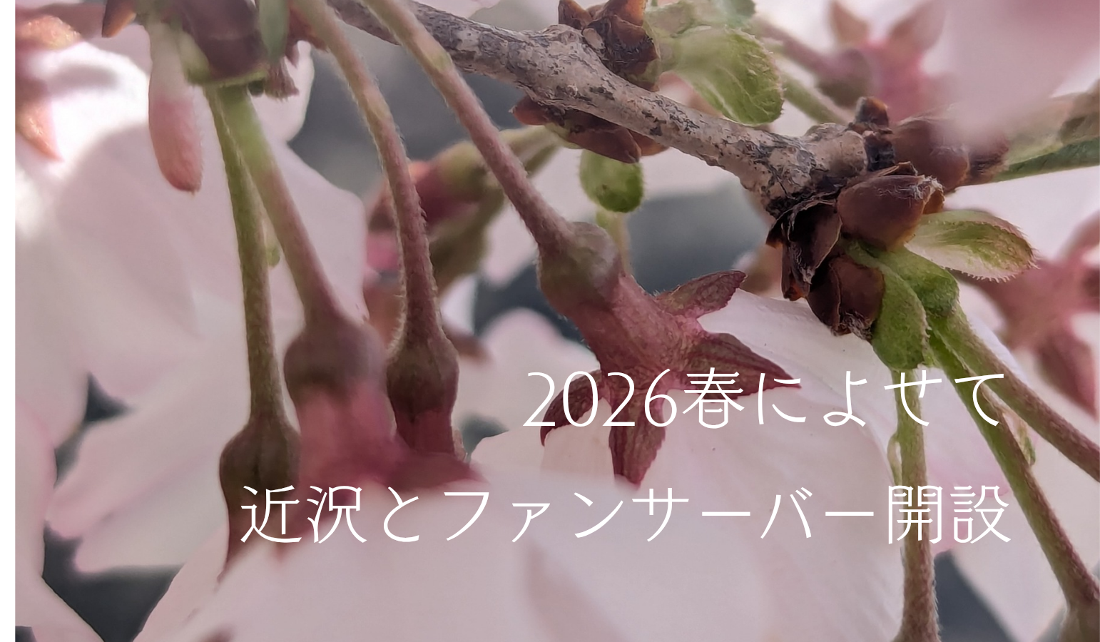 これまでと、これから