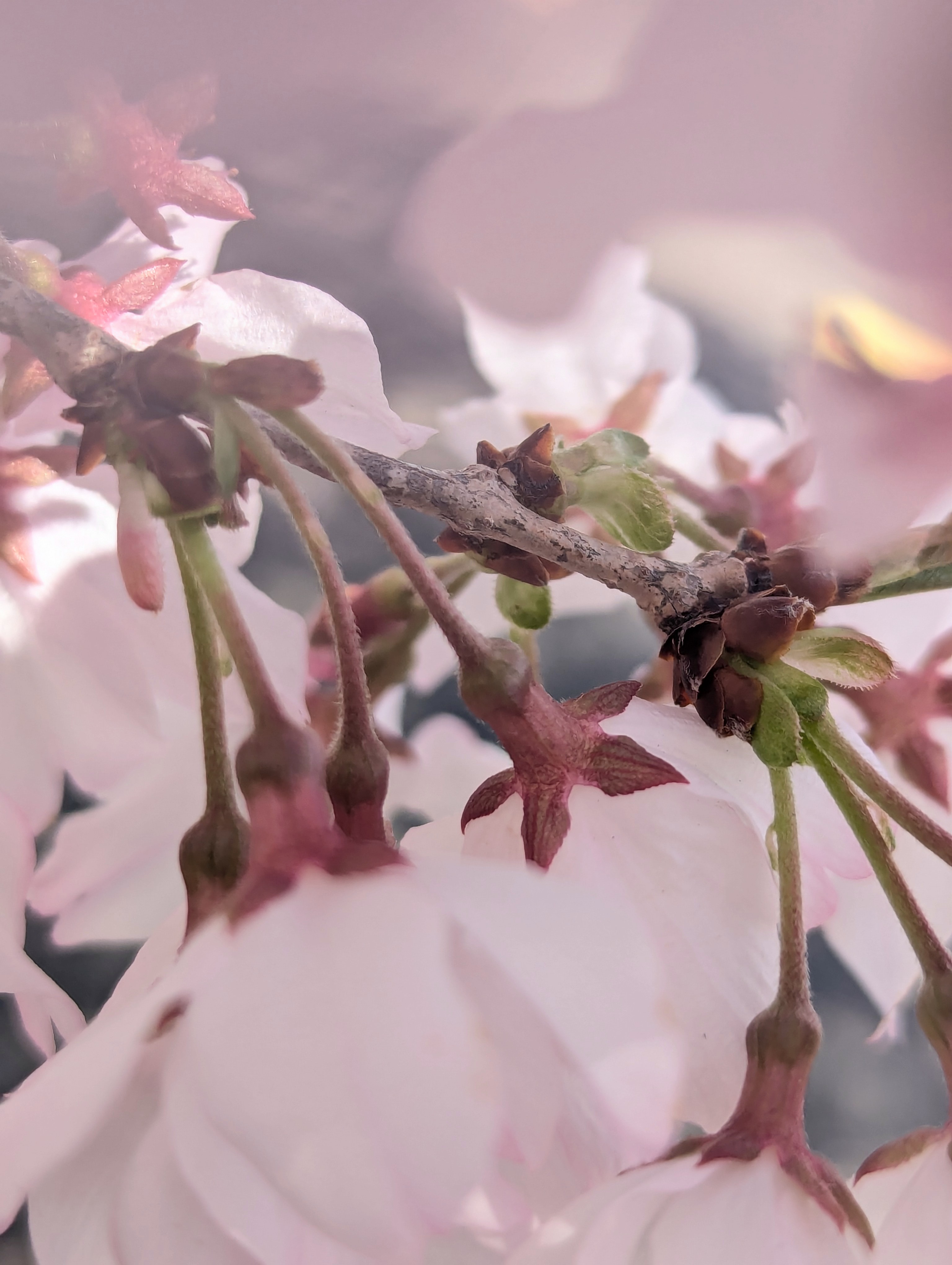 これまでと、これから