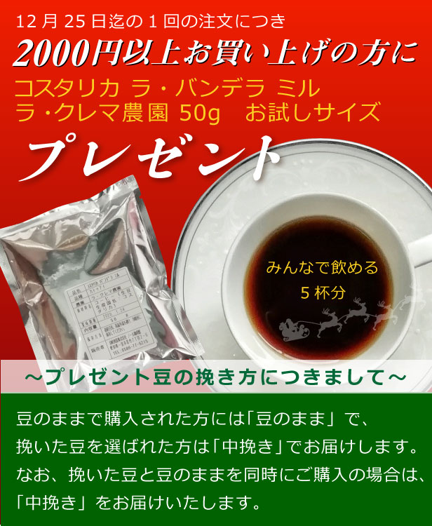 12月25日まで 2000円以上お買い上げの方に...ノールからのクリスマスプレゼント☆彡