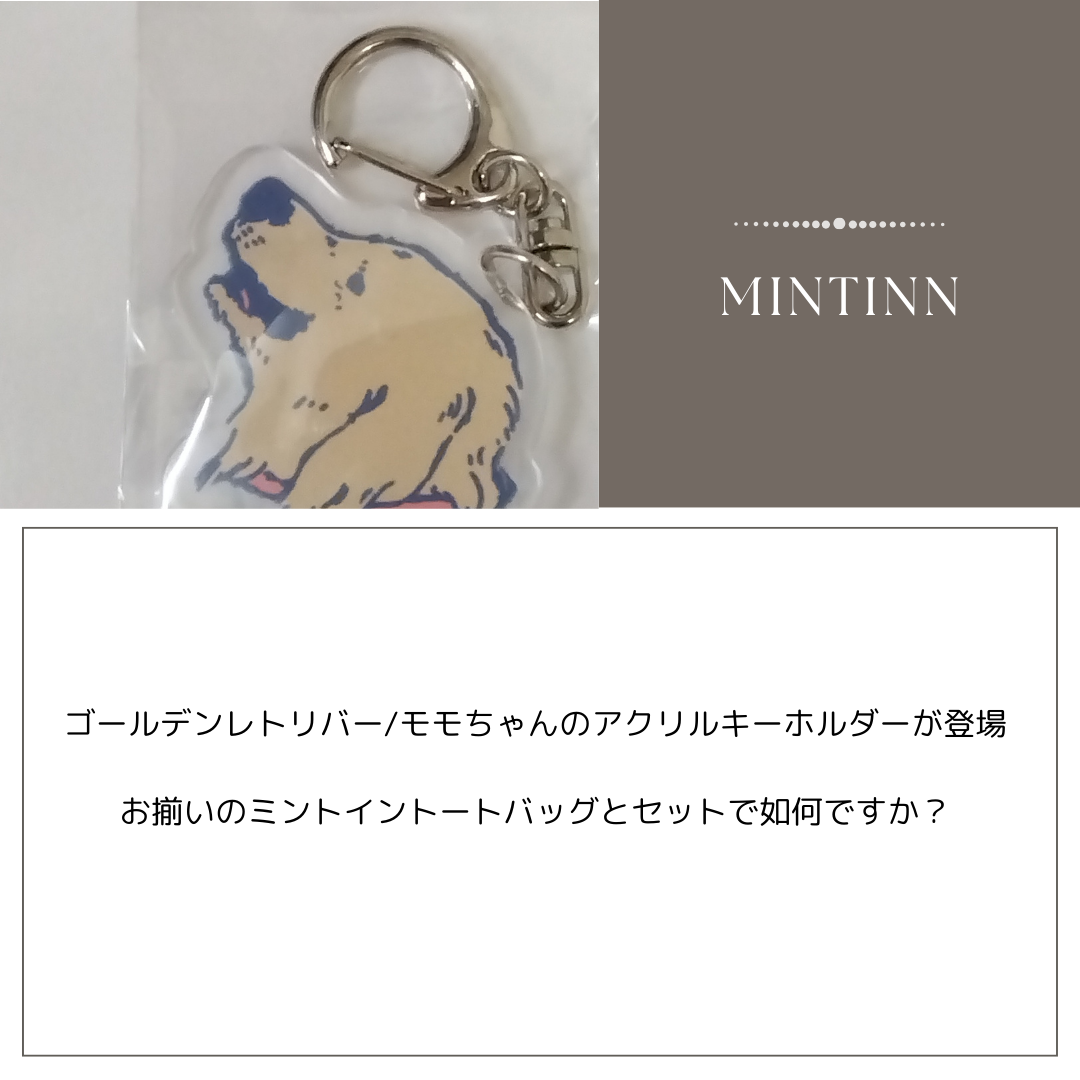 🆕新入荷アラート🐾 ゴールデンレトリバー/モモちゃんのアクリルキーホルダーが登場✨