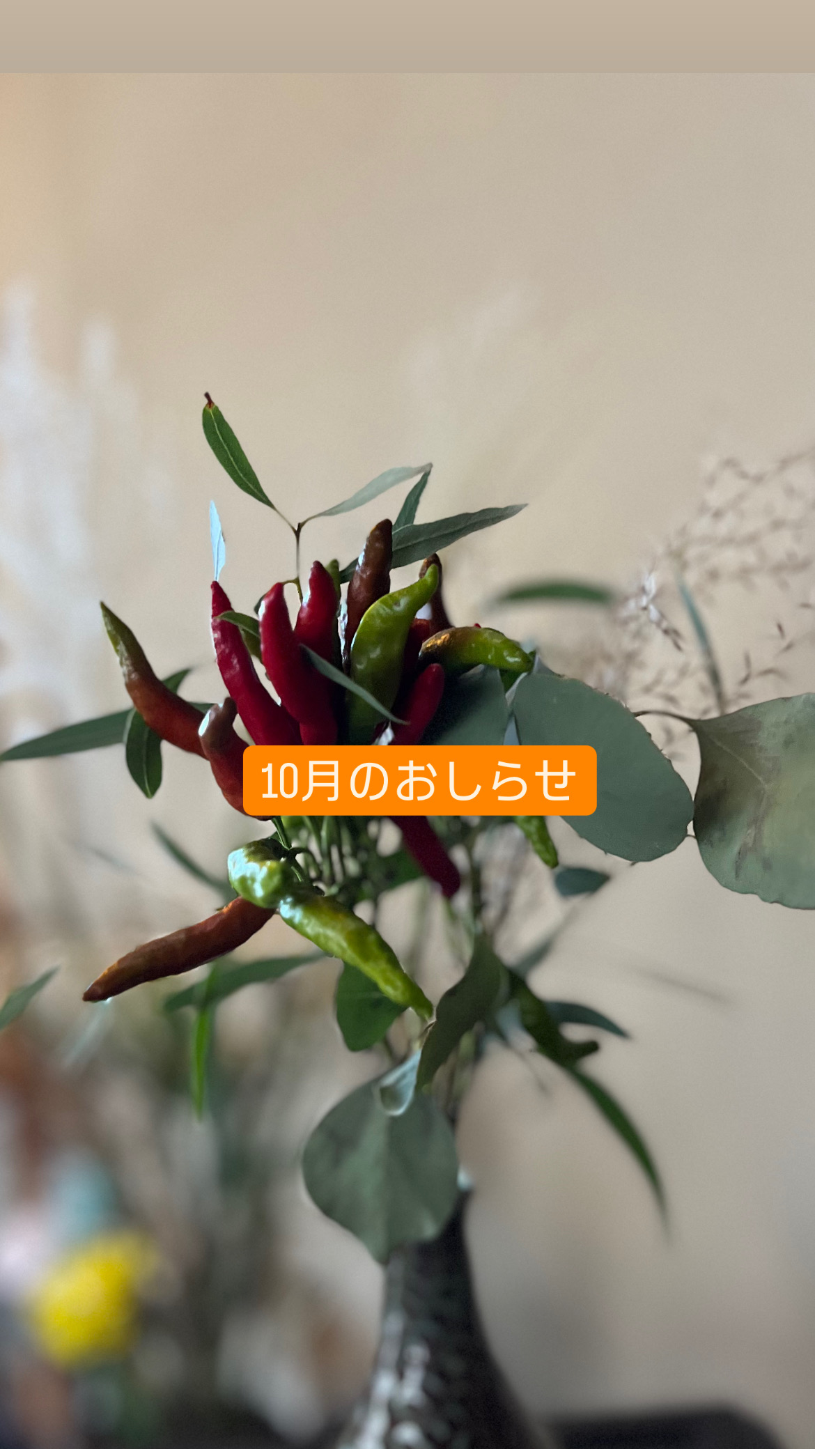 10月のおしらせ