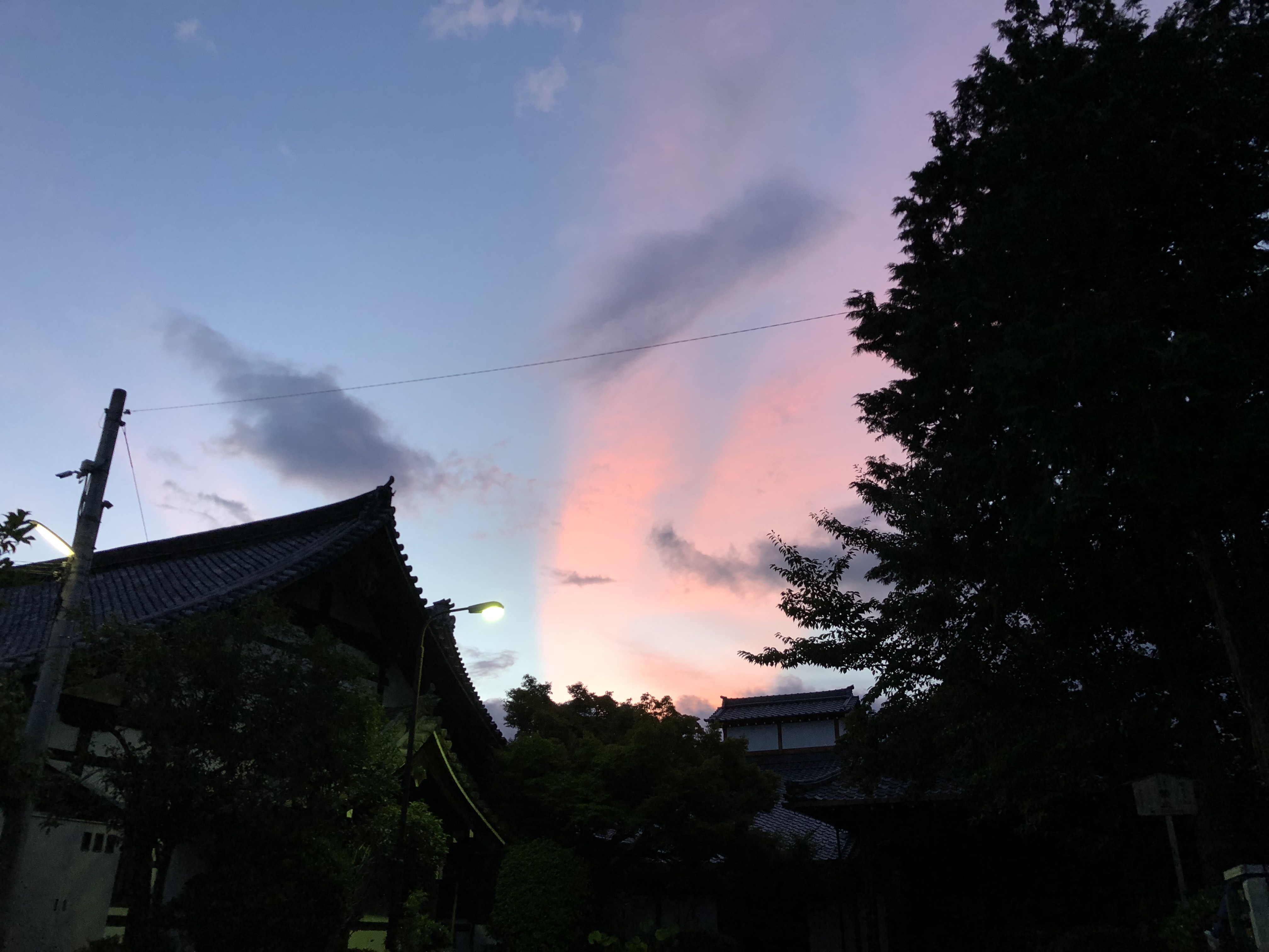 おはようございます