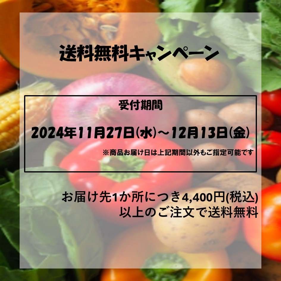 送料無料キャンペーン告知