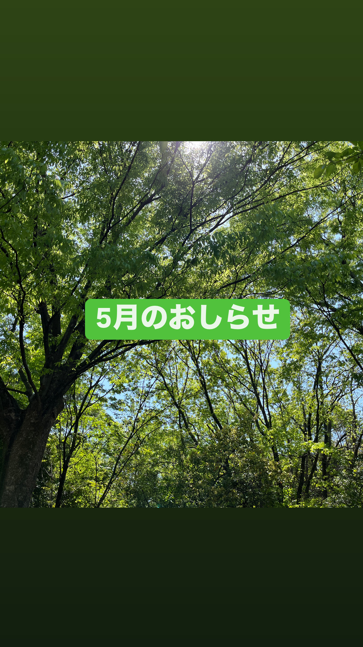 5月のおしらせ🎏
