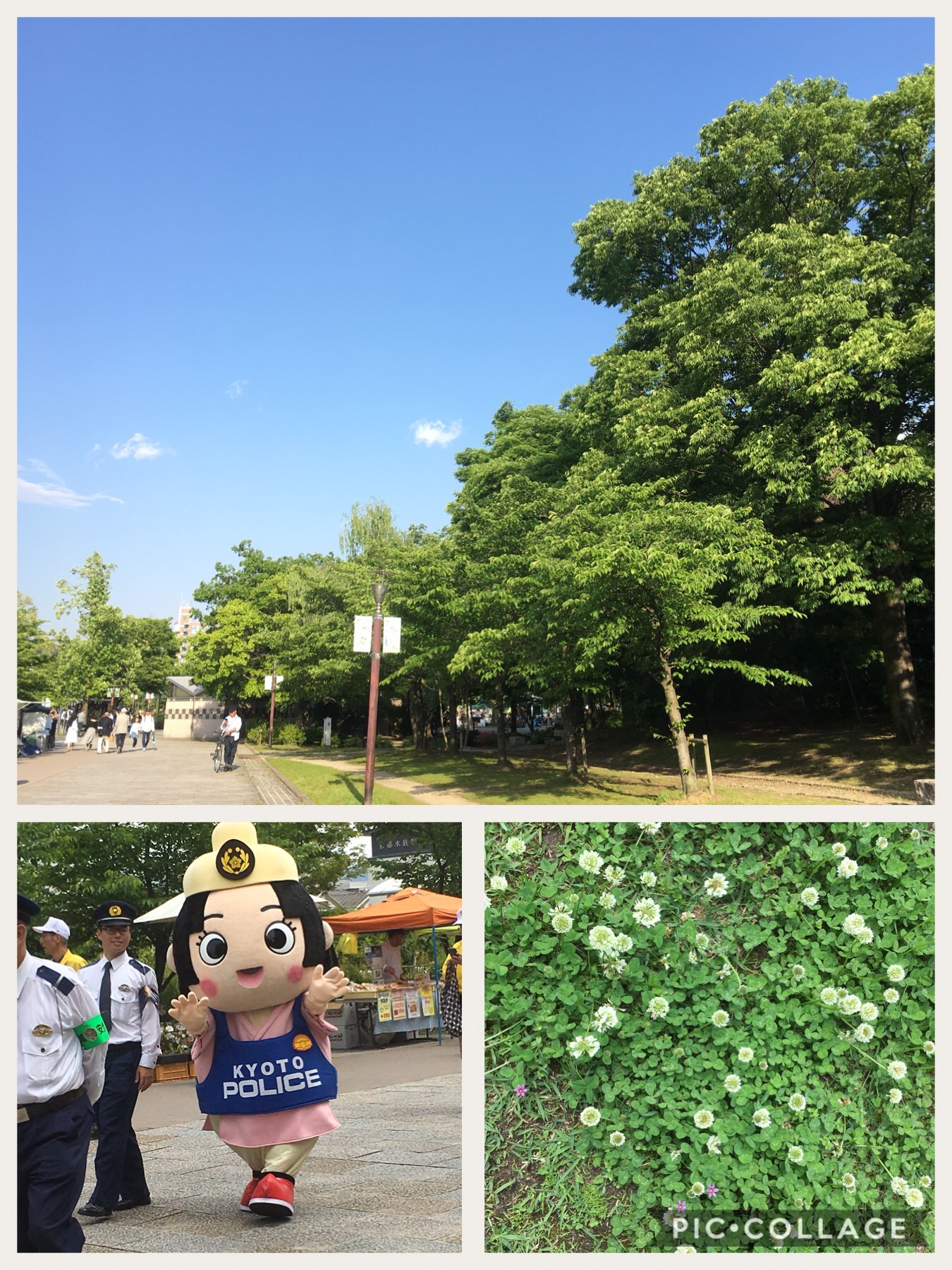 グリーンフェアお礼