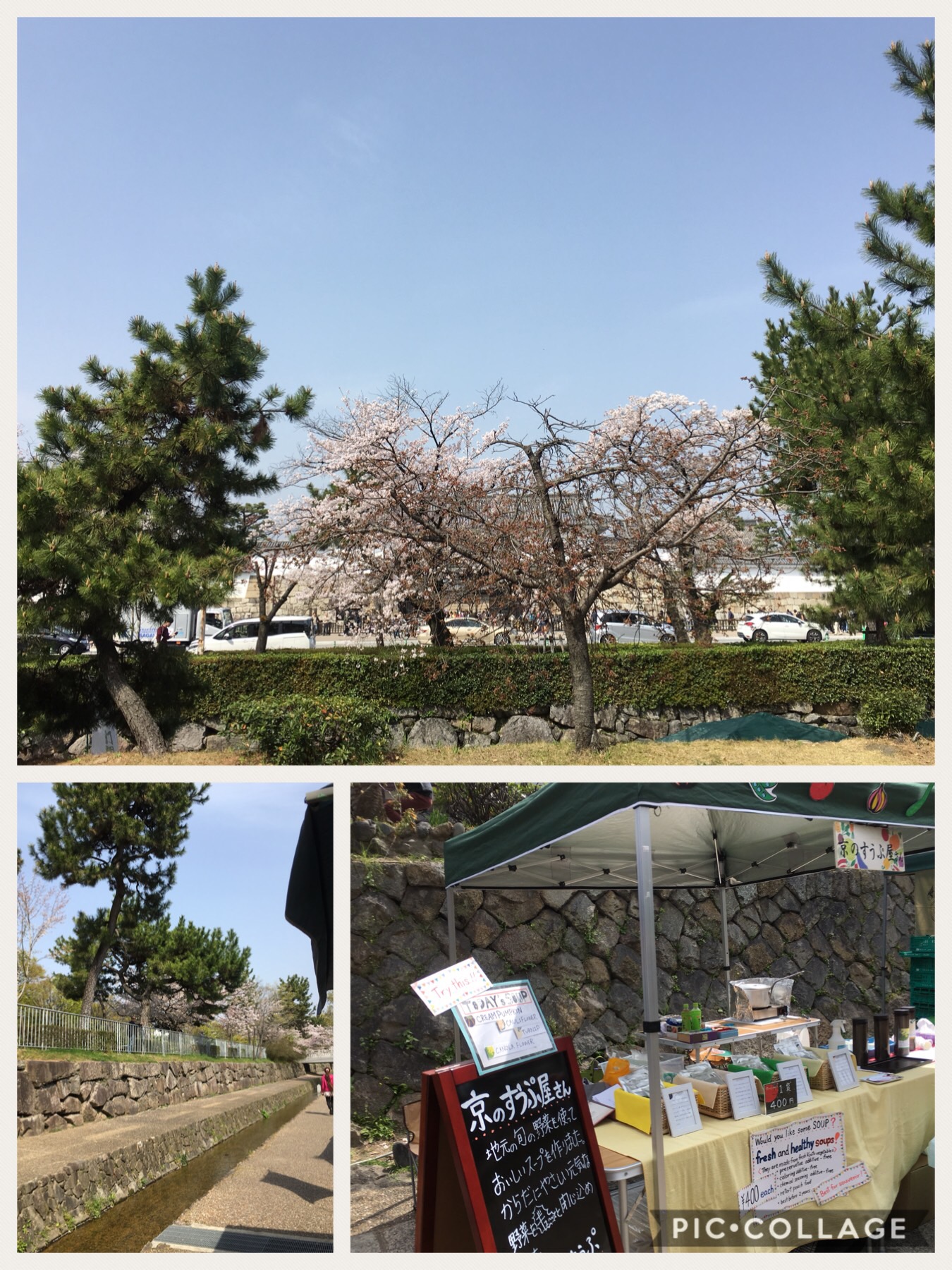桜まつり お礼