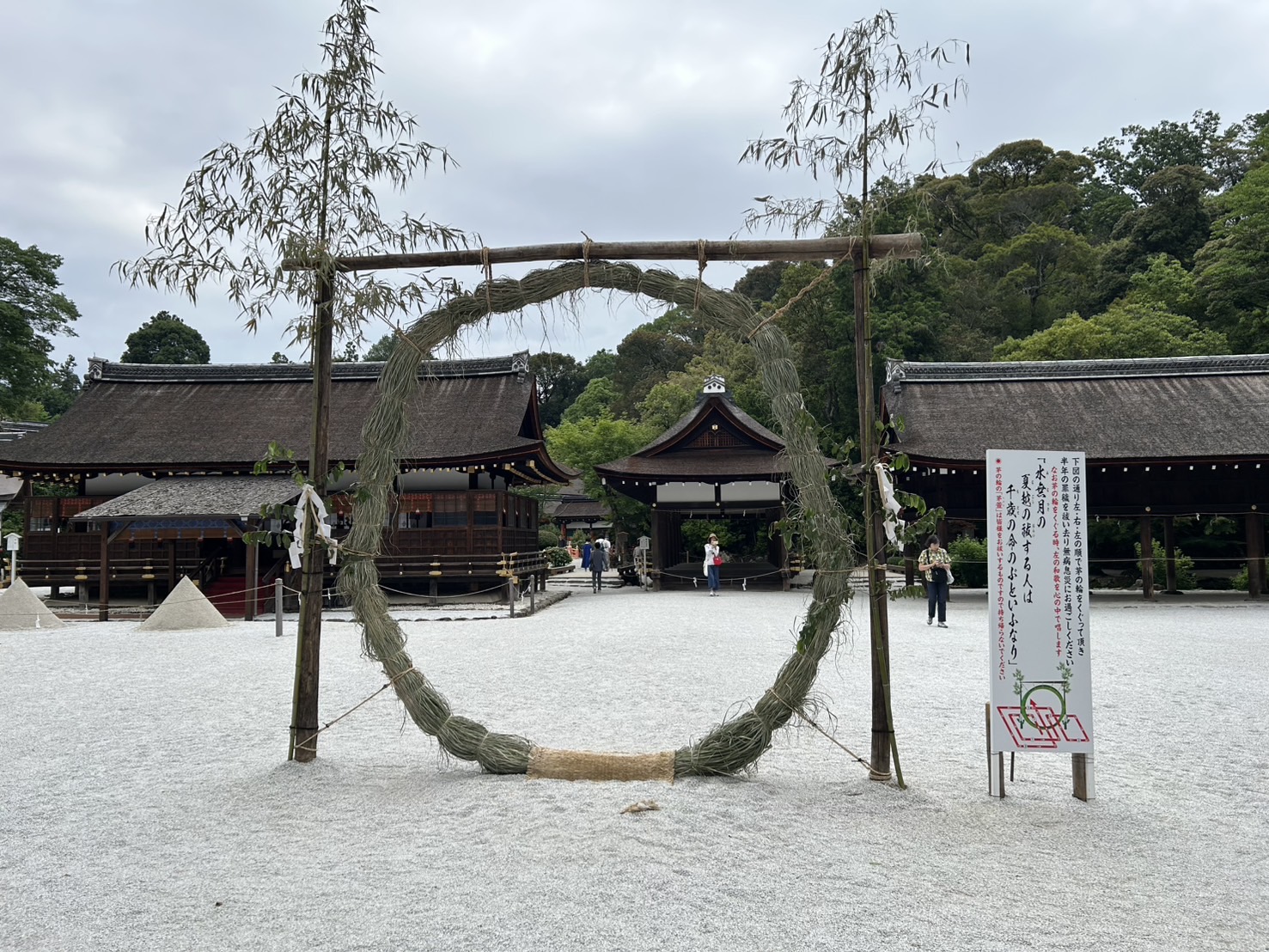 7月のおしらせ