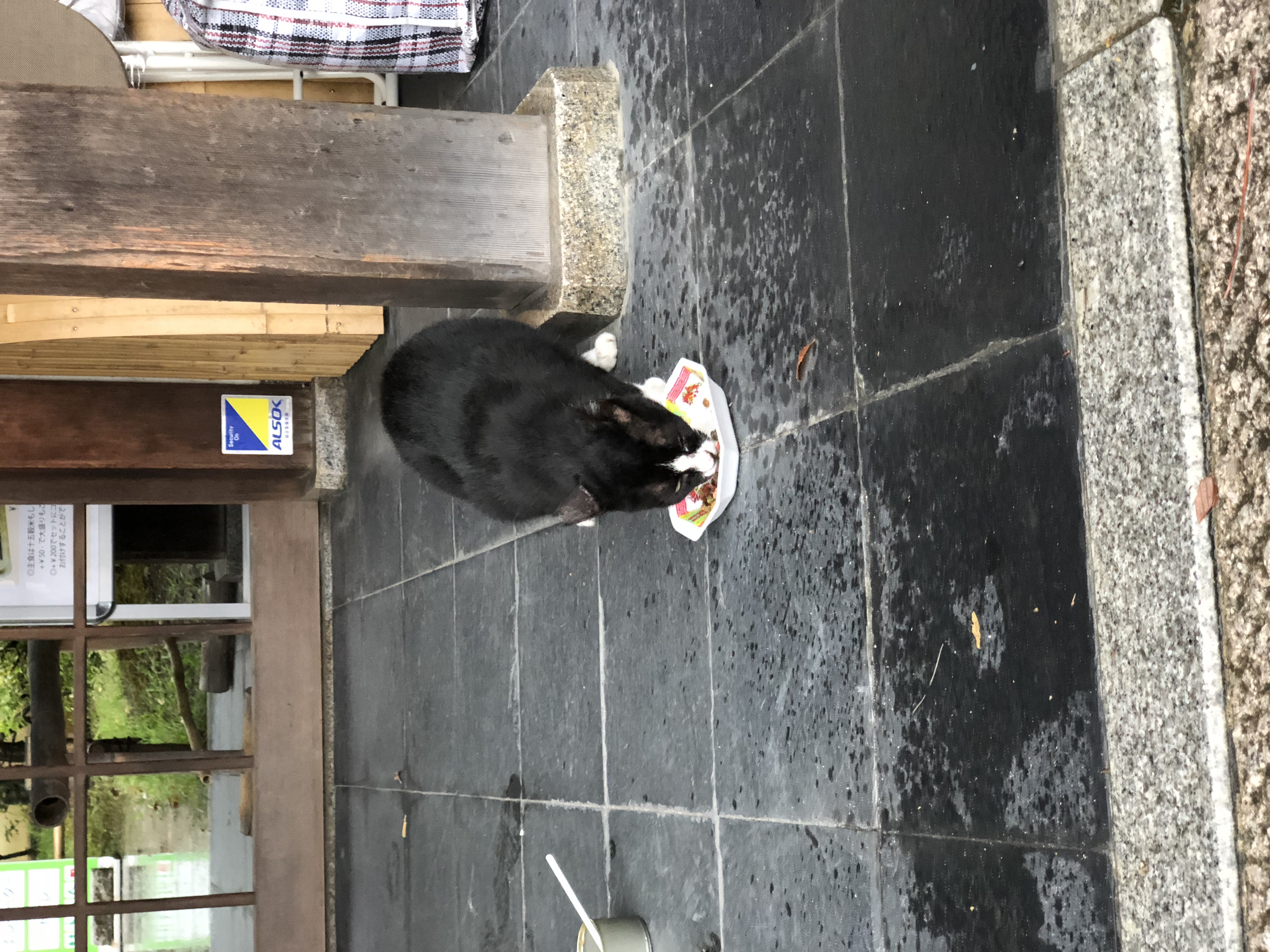 9/1梅小路公園出展