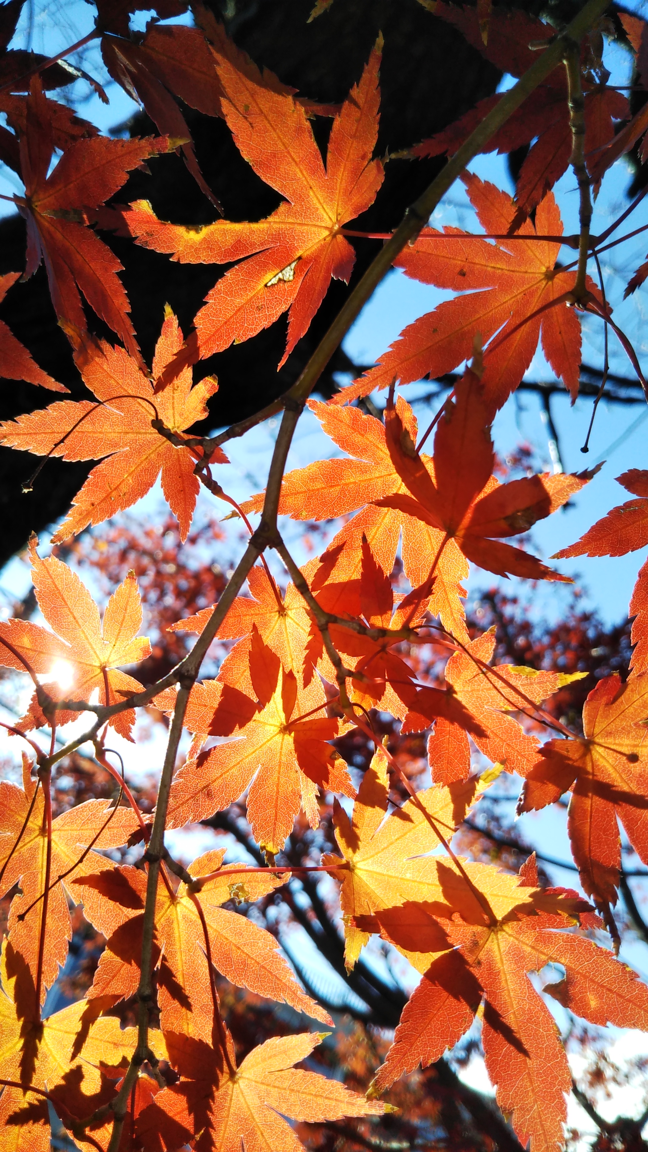 幸せですを喜べる人