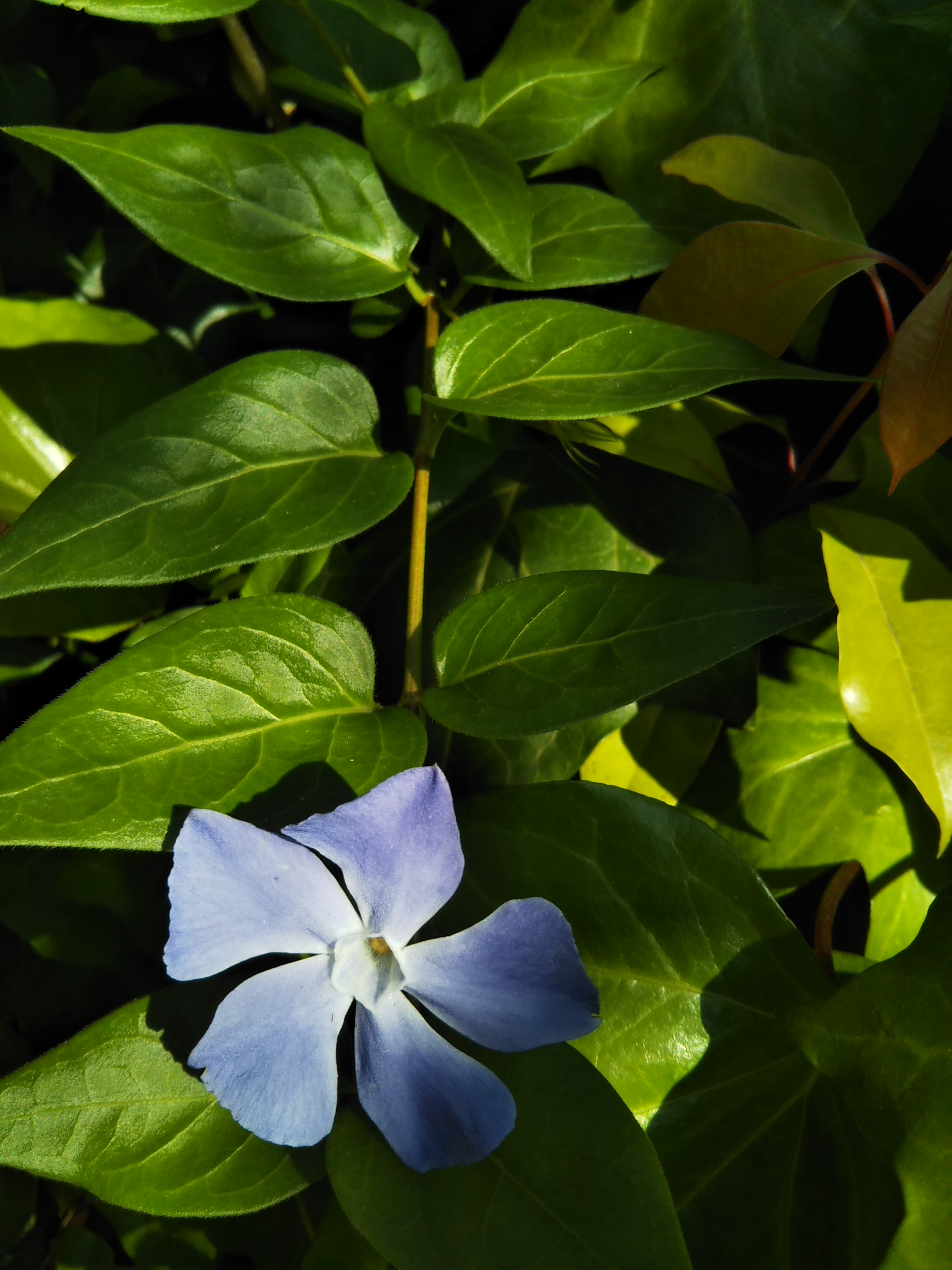 ありがたい事です