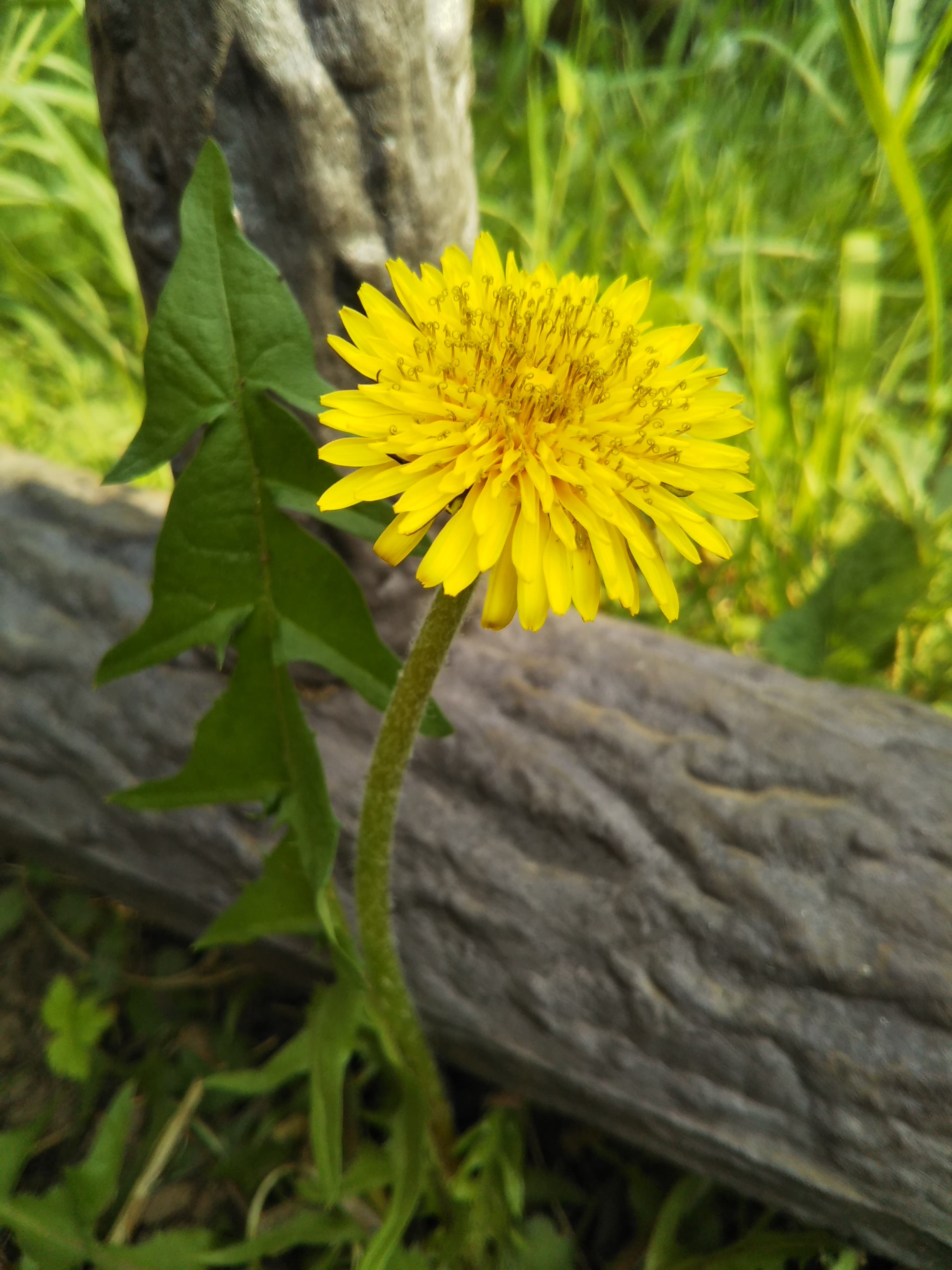 マスクへのお問い合わせ