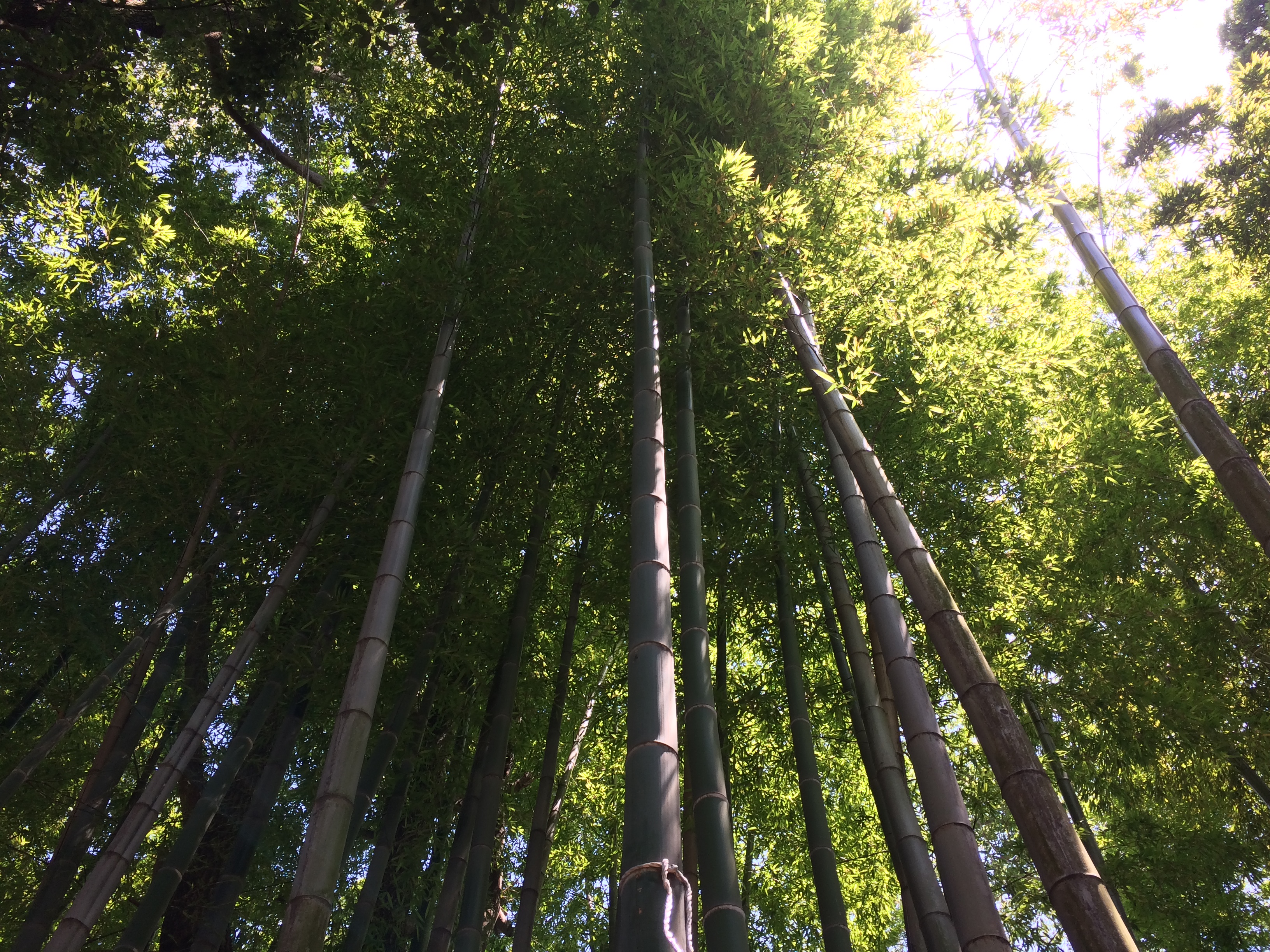 通じればいいと思ってる