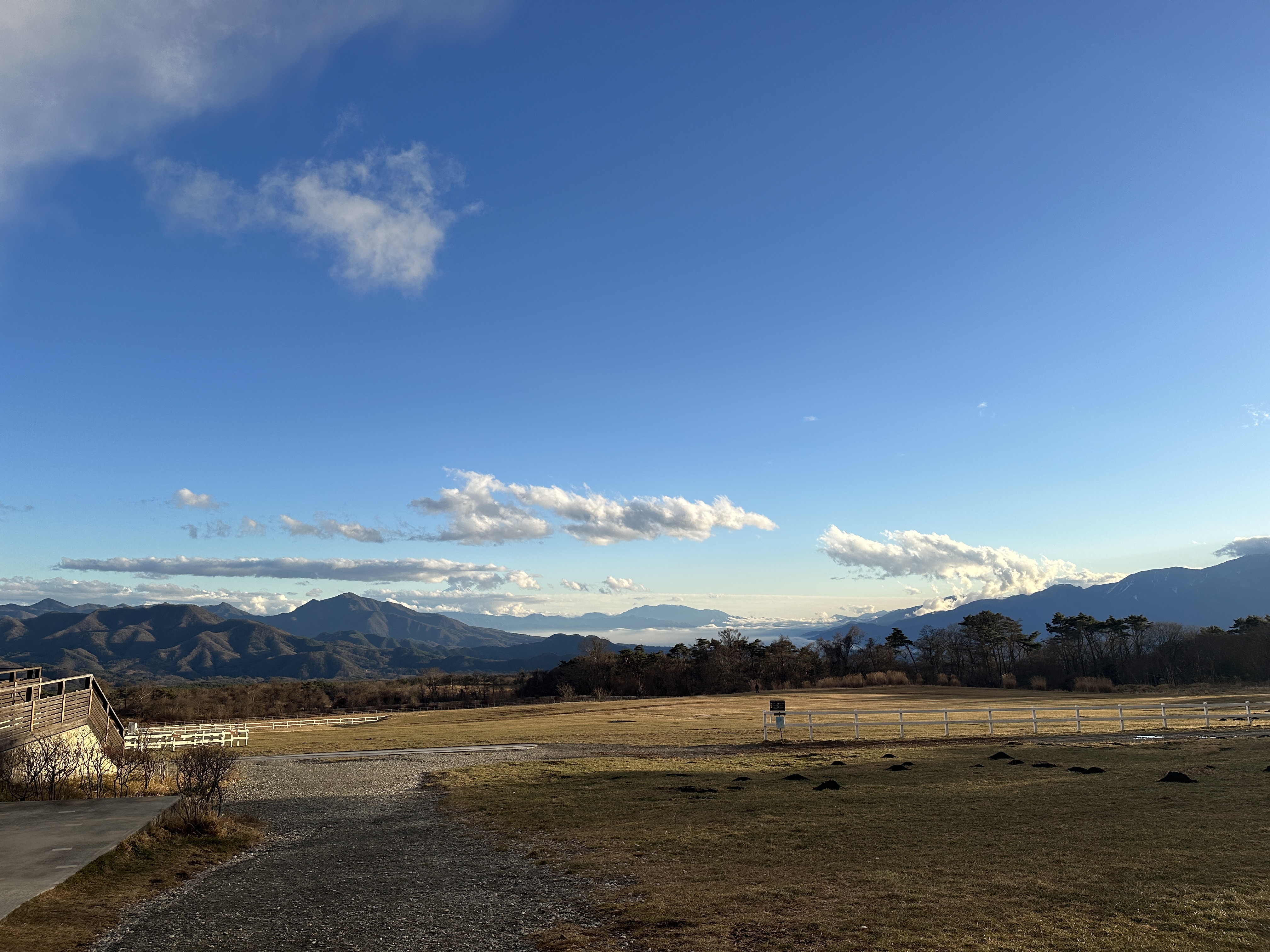 引き続きGCFに参加して参ります。