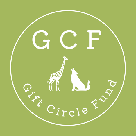 NVC国内集中合宿(Japan Interactive Gathering)GCFに参加しています。