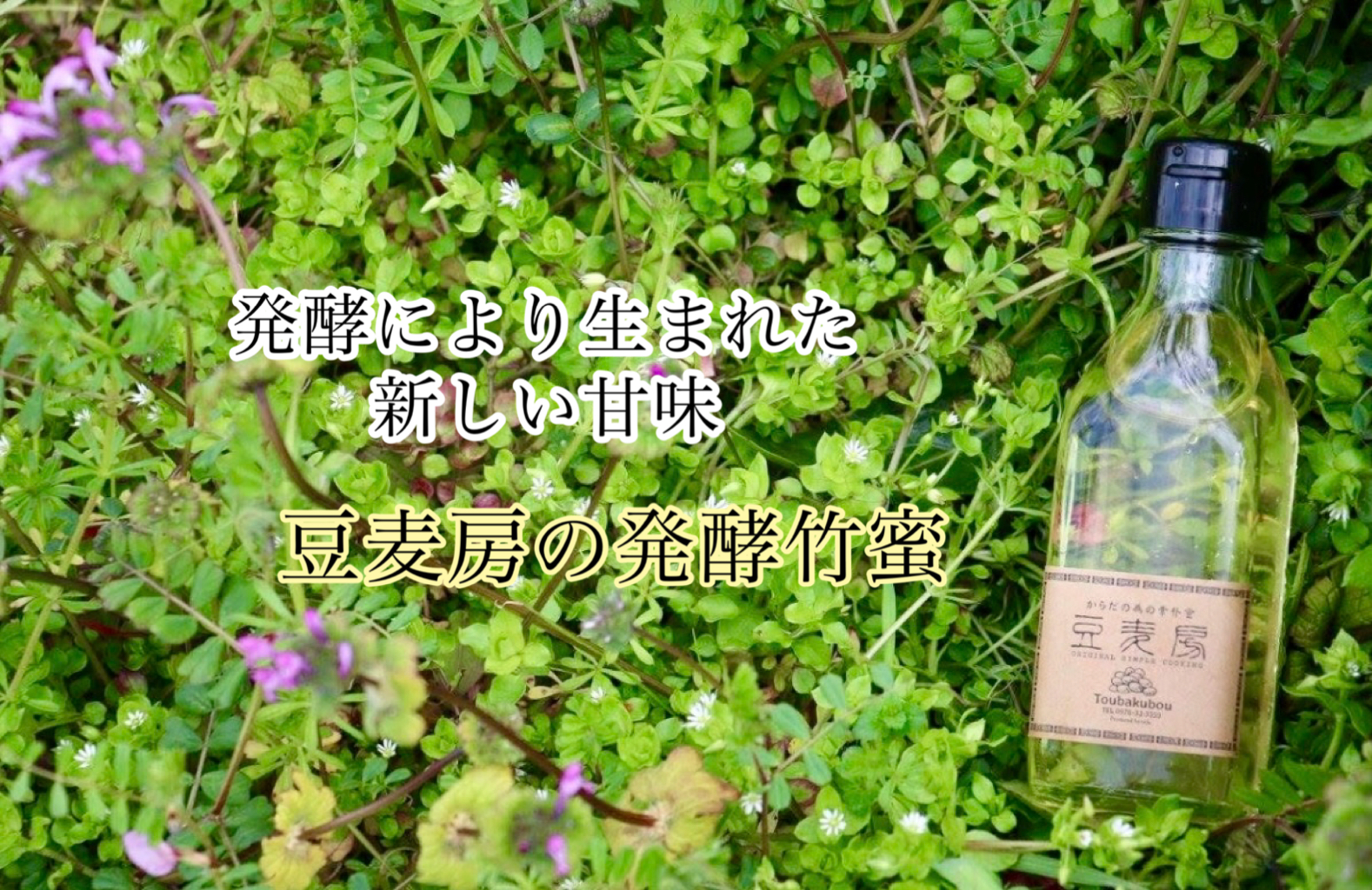 新商品　発酵竹蜜