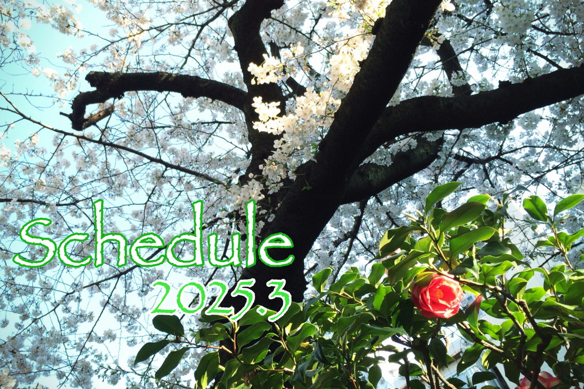 3月スケジュール☆