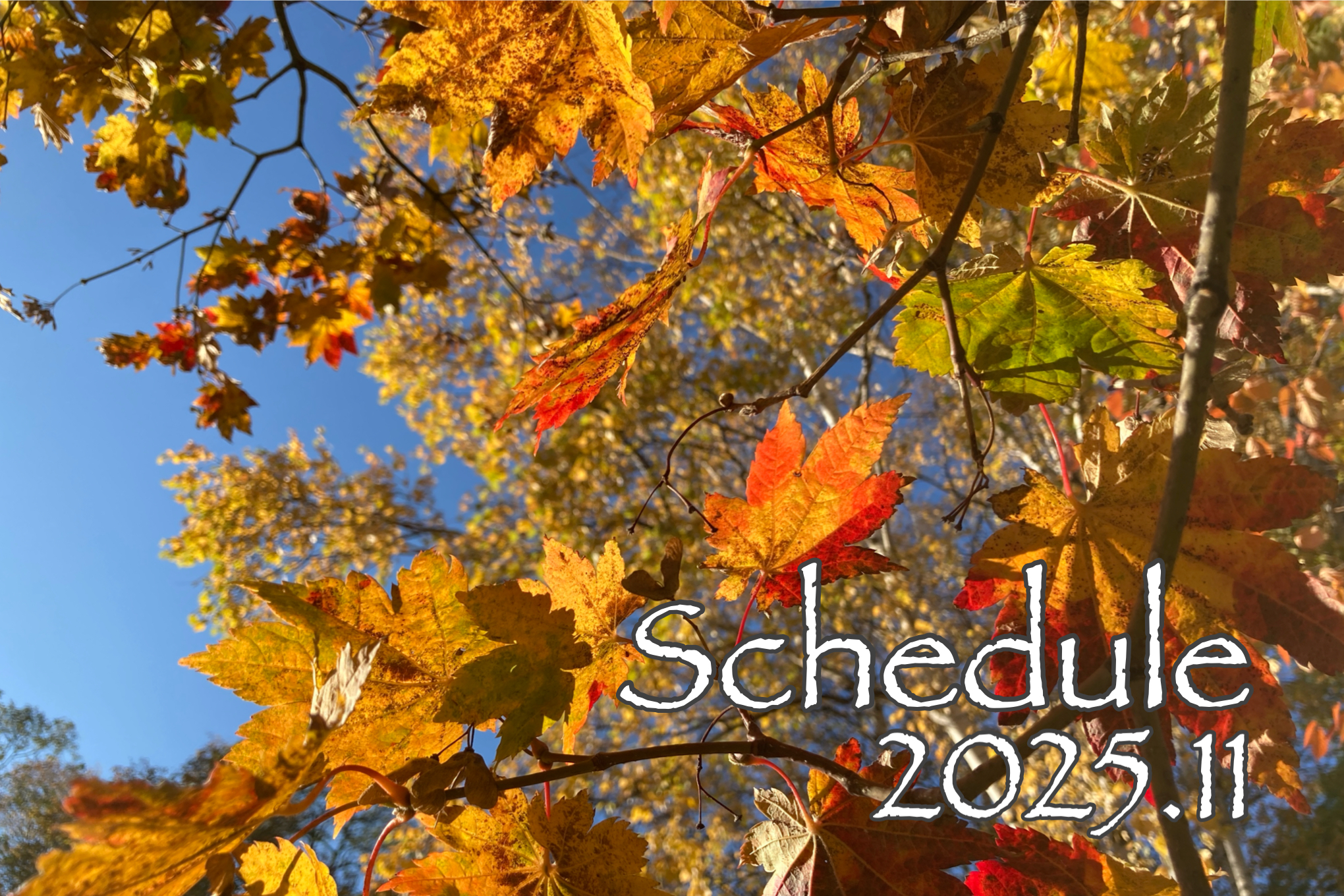 11月スケジュール☆