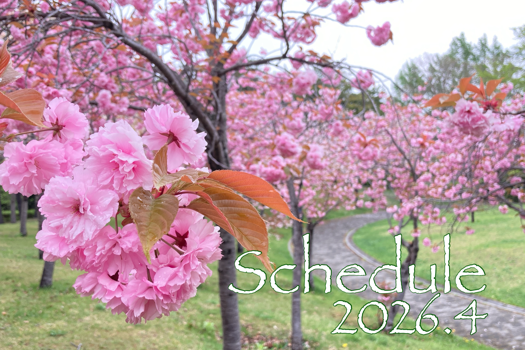 4月スケジュール🌸