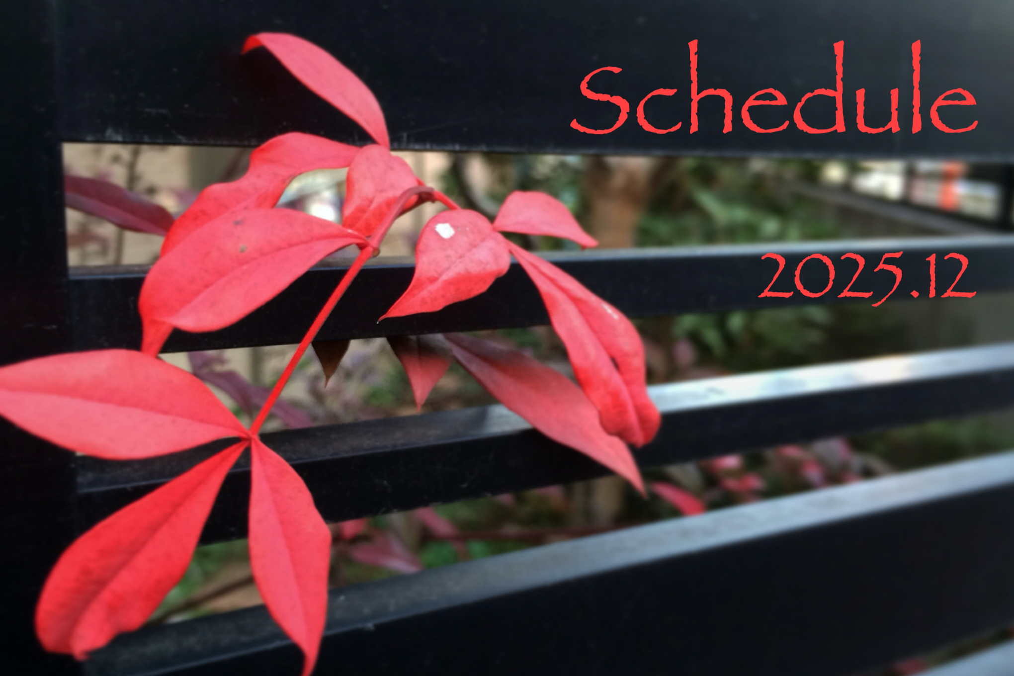 12月スケジュール