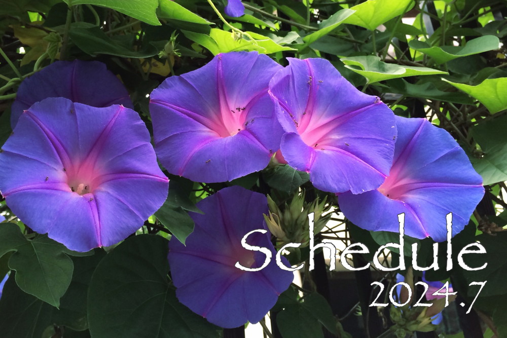 7月スケジュール
