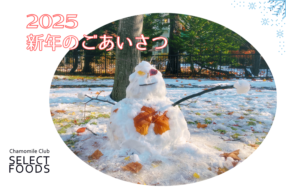 新年のご挨拶と1月スケジュール