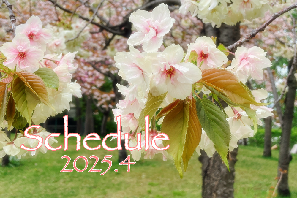 4月スケジュール🌸