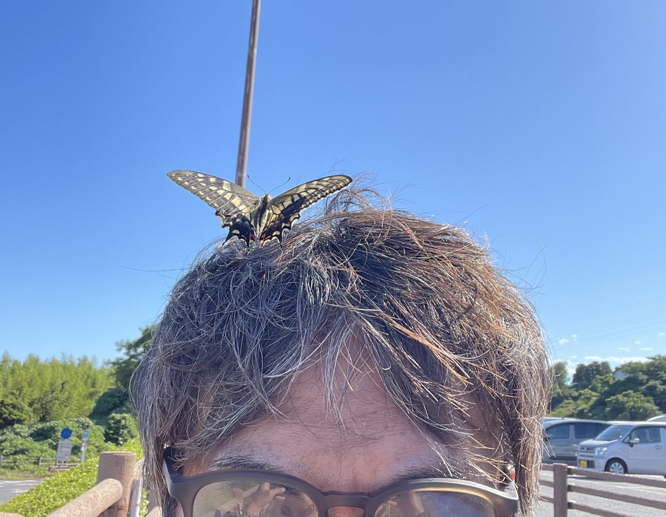 再販希望商品を順番に作製予定です