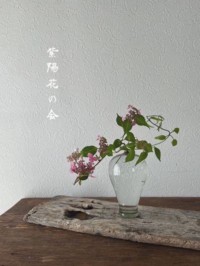 つきくさ「紫陽花の会」のお知らせ