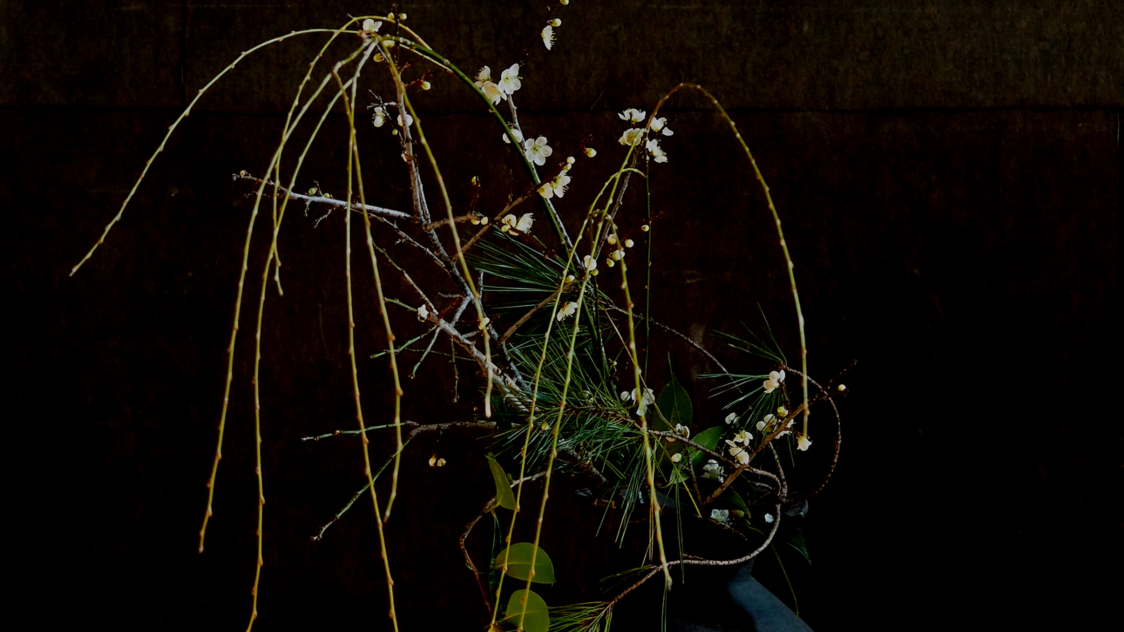 2025　月草　　ー　春支度　ー