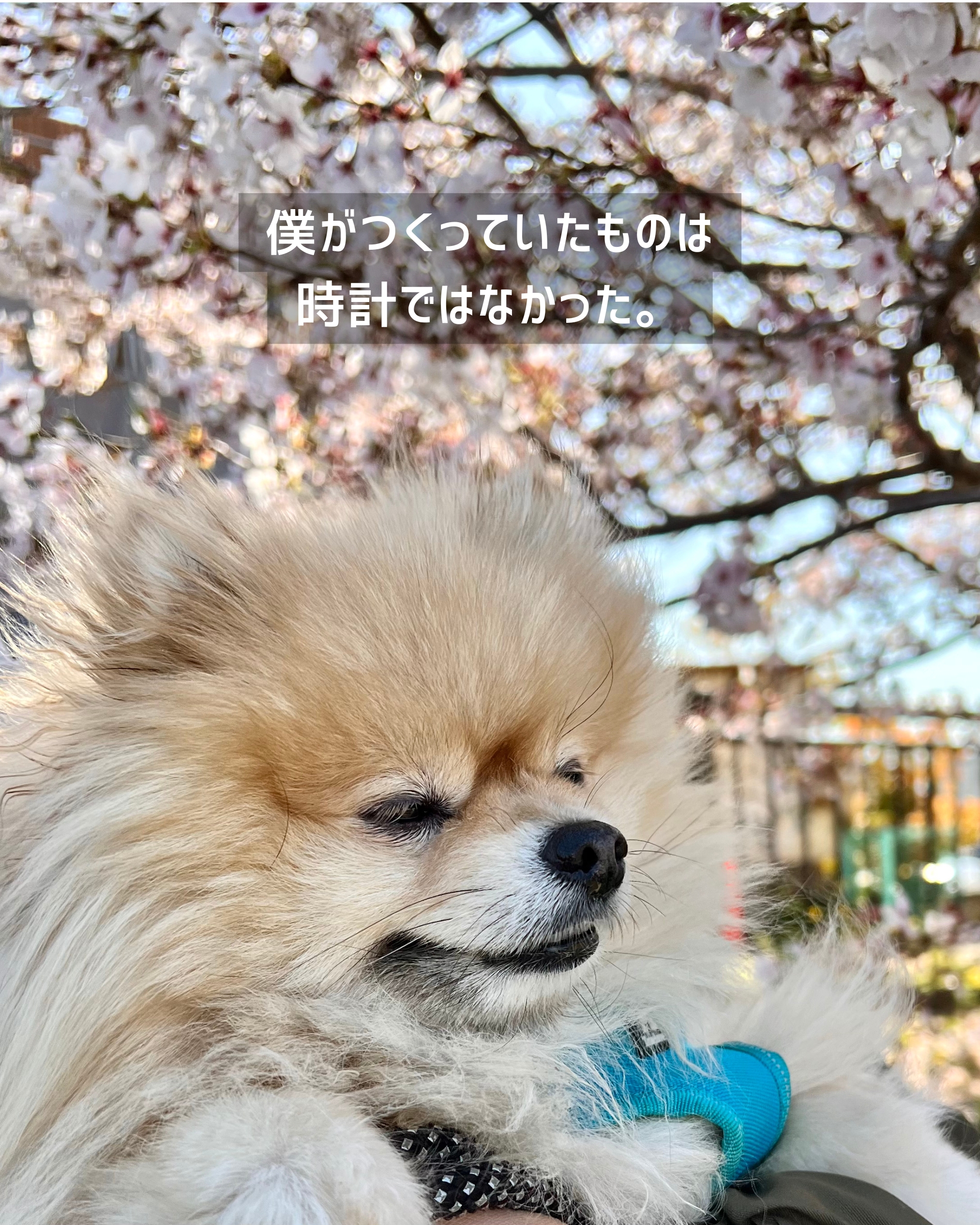僕が作っていたものは、時計じゃなかった。