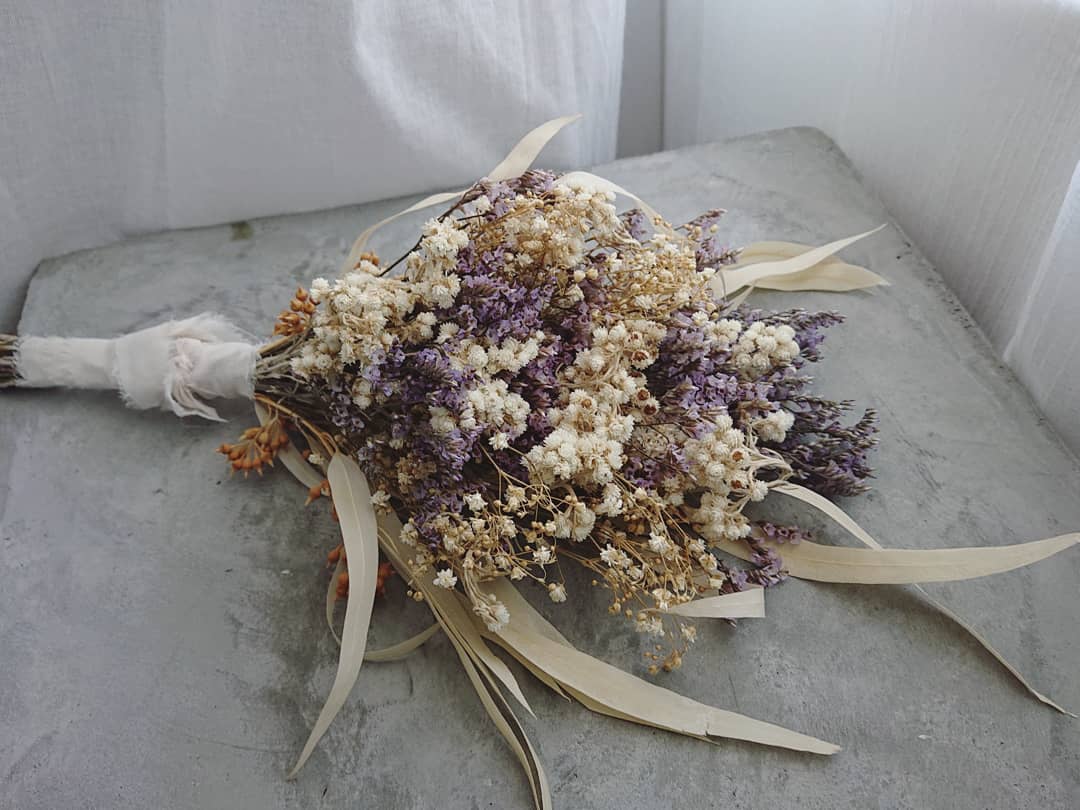 キャンペーンについて