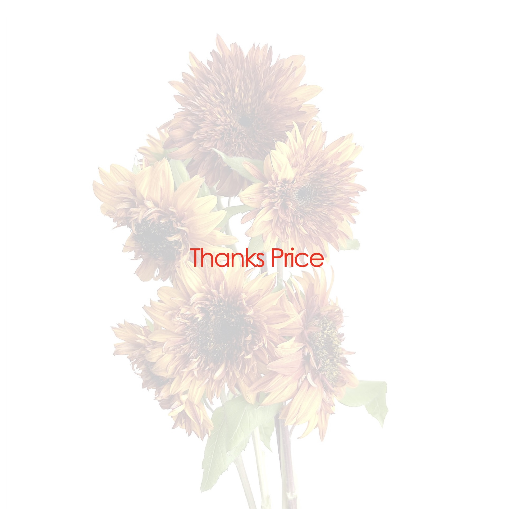Thanks Price