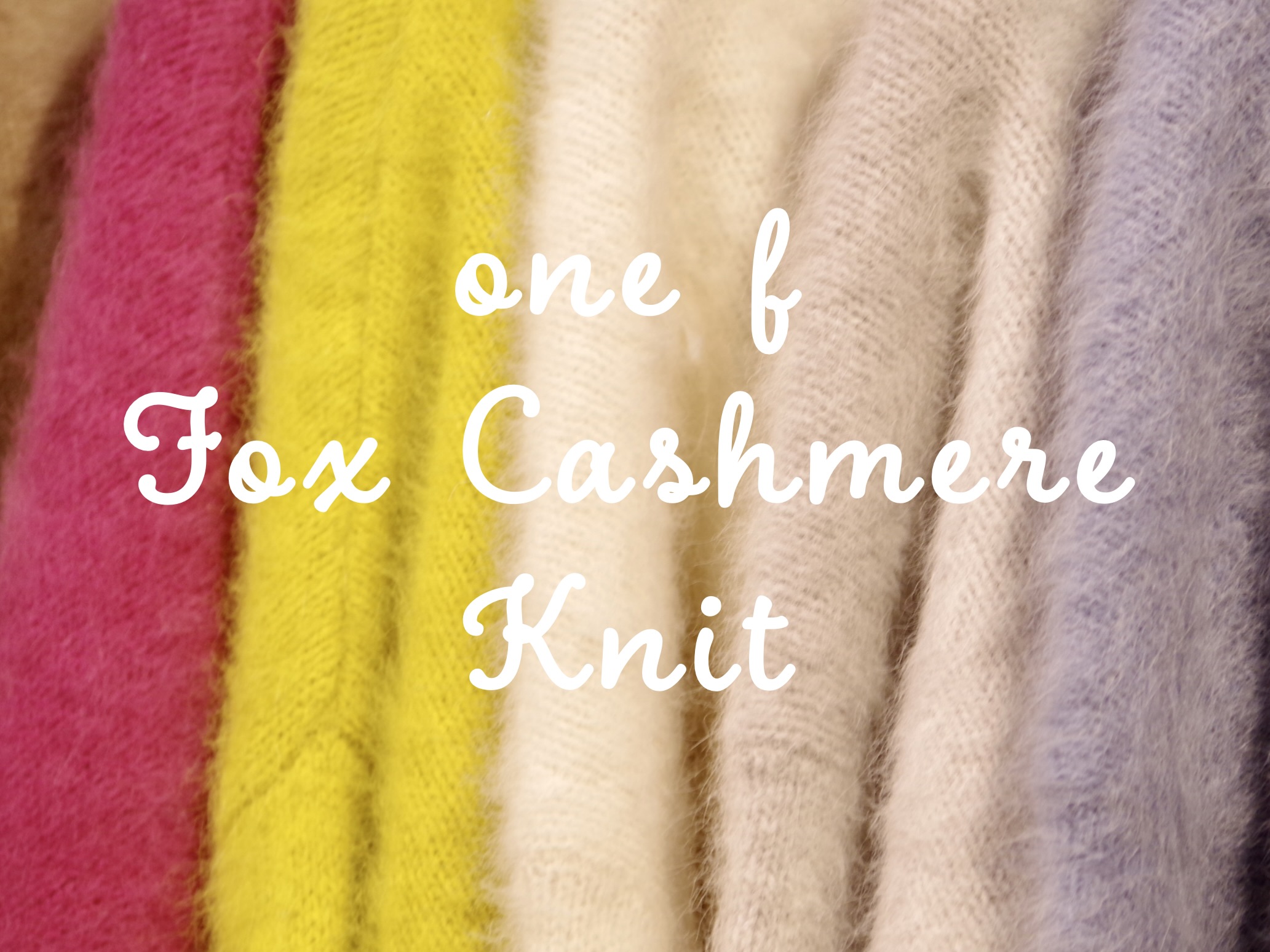 one f Fox Cashmere Knit