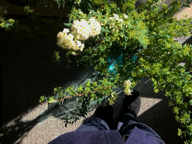 BLOG　